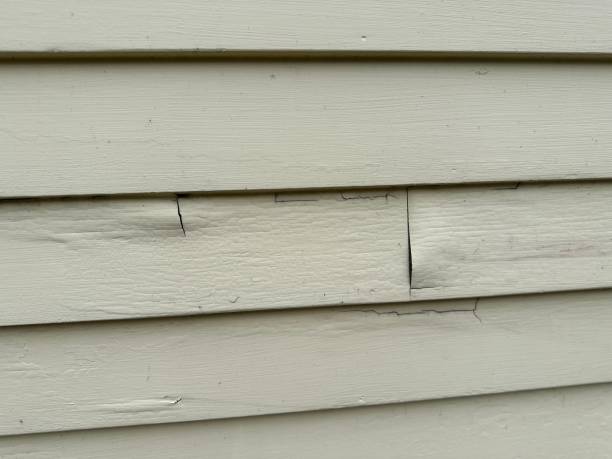 Property Management Cleanouts in Elfers, FL